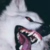 illuminadooo00