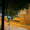 malak30420