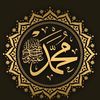 dailyqurancontent