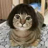 dan.teo