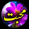 shadabkhandirve