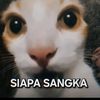 reza10kl