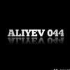 aliyevaa_044