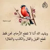 user023602212