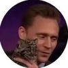 loki.4life