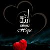 zaki.o.w.m