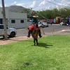 kaikymonteiro356