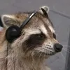 _lfkm