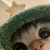 apspgg