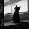 z_for_zahra_140413
