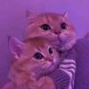 nihan_sezin43
