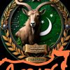 amir732527053