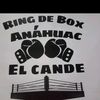 boxeo_hanahuac