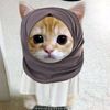 bilaaaaa_70