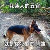 xuquan3