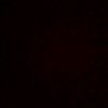 f4uzn19