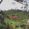 kusiyatiningsih