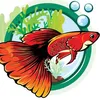 xinhlinh06