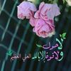 elhamhafoozi