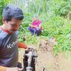 apichatanong