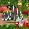 ahmed10203035