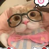 dlinh_75