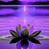 usernhung86