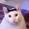penggemarpowli