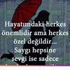 1010meltun