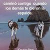 pablojuares8