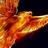 rober_512