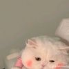 mayouy15