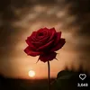 kiran97279