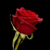 user_helen8