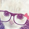 user9280073883290