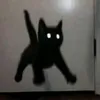 mr_lostcat