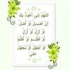 ameer_asheer