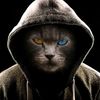 mr_chpoksi