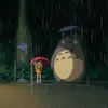 dim_qyn01