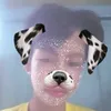 hoangtan12.3