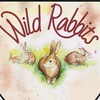 wild_rabbits