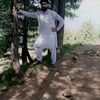 profmarif
