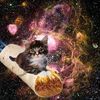 bakingcat43
