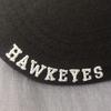 hawk_eyes46