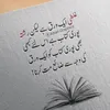 user381195404abidjuttg