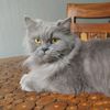 molly.1028