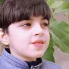 merab.aman