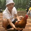 traigahienanh19