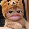 cattototoo