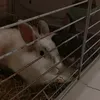 nounou.kiki31